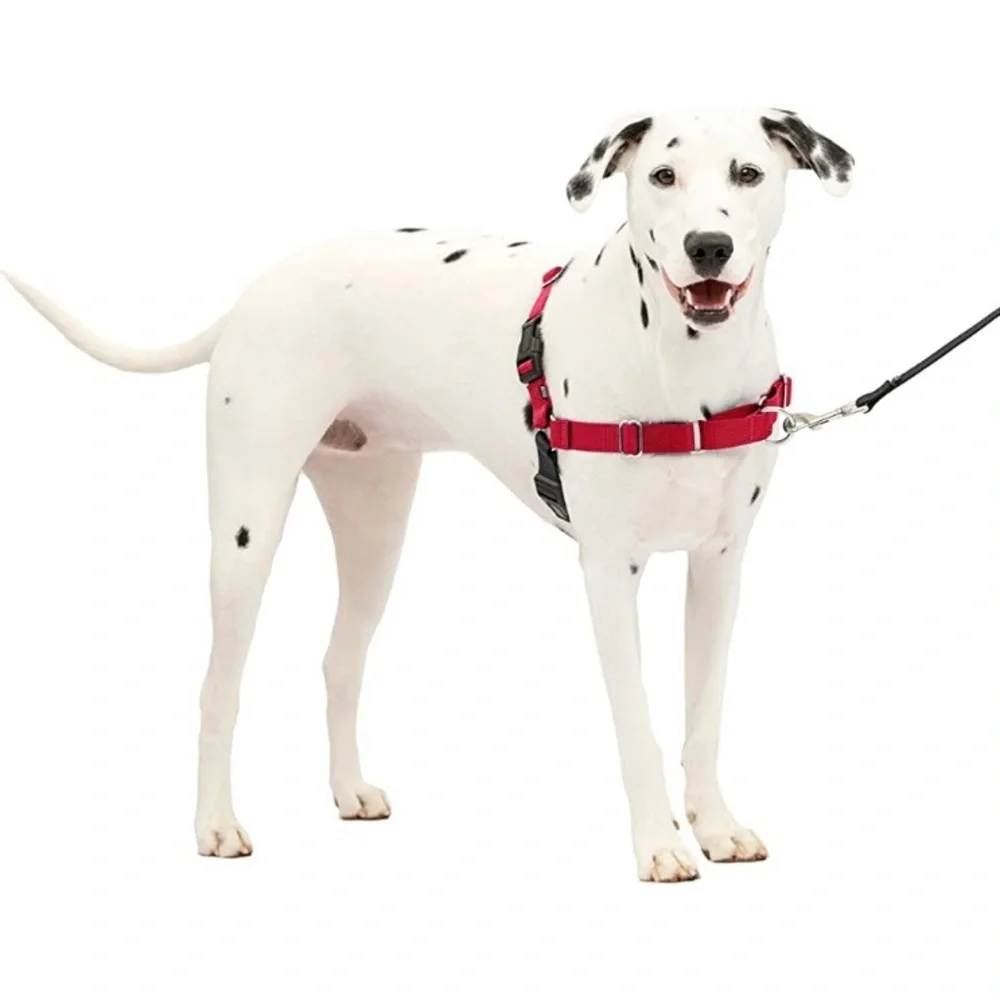 1” Medium-Large Adjustable Dog Harness in Red